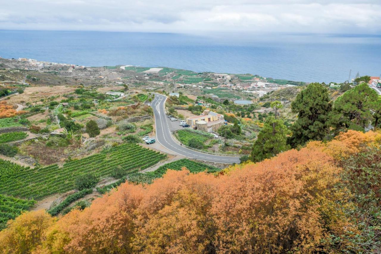 Casa Carmelita Διαμέρισμα La Guancha Εξωτερικό φωτογραφία